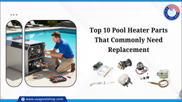 Top 10 Essential Hydroponic Components for High-Yield Indoor Growing