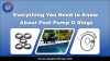Everything You Need to Know About Pool Pump O Rings